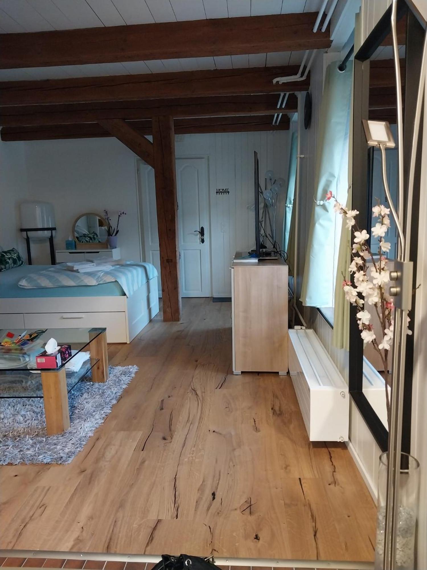 Schickes Gemuetliches Appartement