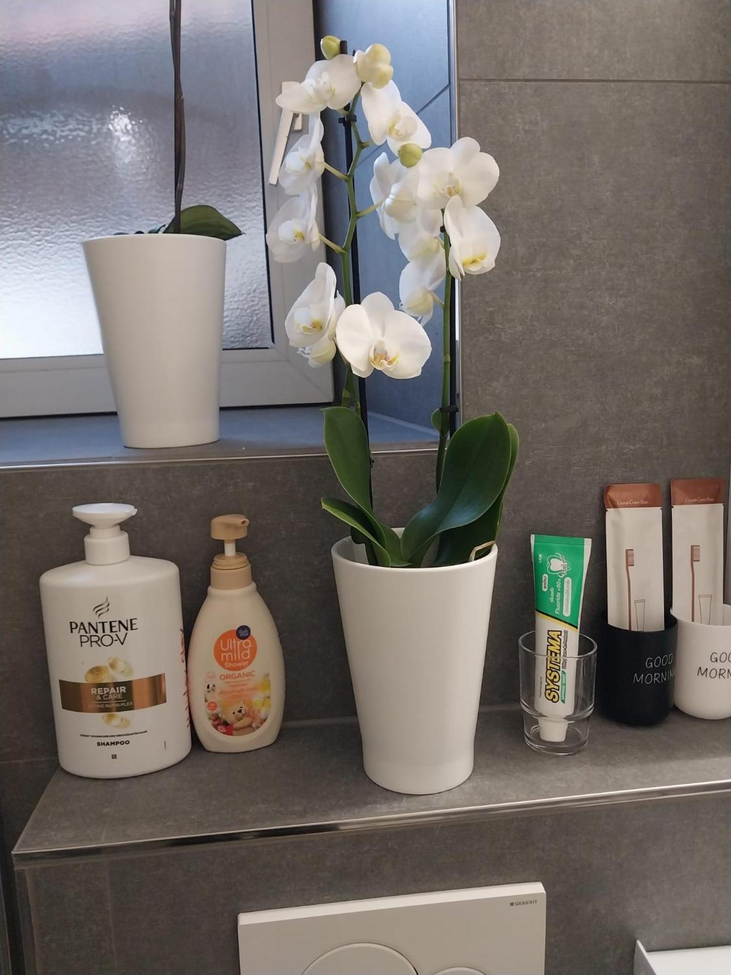 Appartement Schickes Gemuetliches *